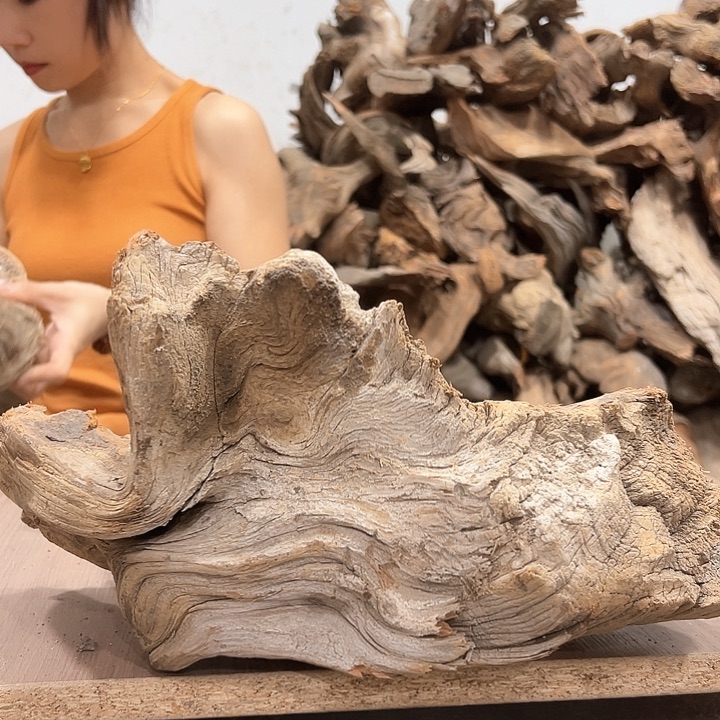 柏木呆*呗我们的生活也是