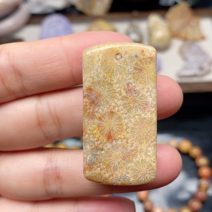 硅化珊瑚（珊瑚玉）未镶嵌手镯