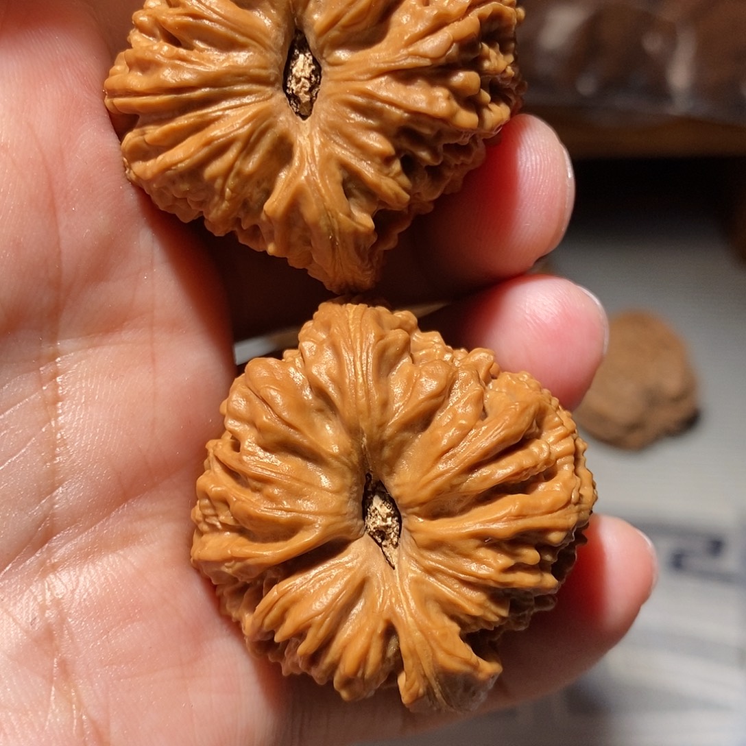 文玩核桃把件019凹底拉丝纹南将石