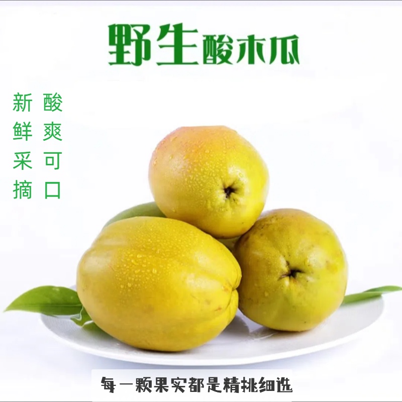 【野生】酸木瓜云南新鲜大理特产水果泡酒红花青黄木瓜生吃煮鱼炖鸡