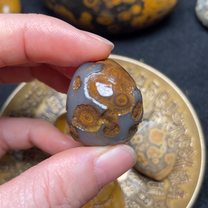 石材九眼页岩钱币石原石40