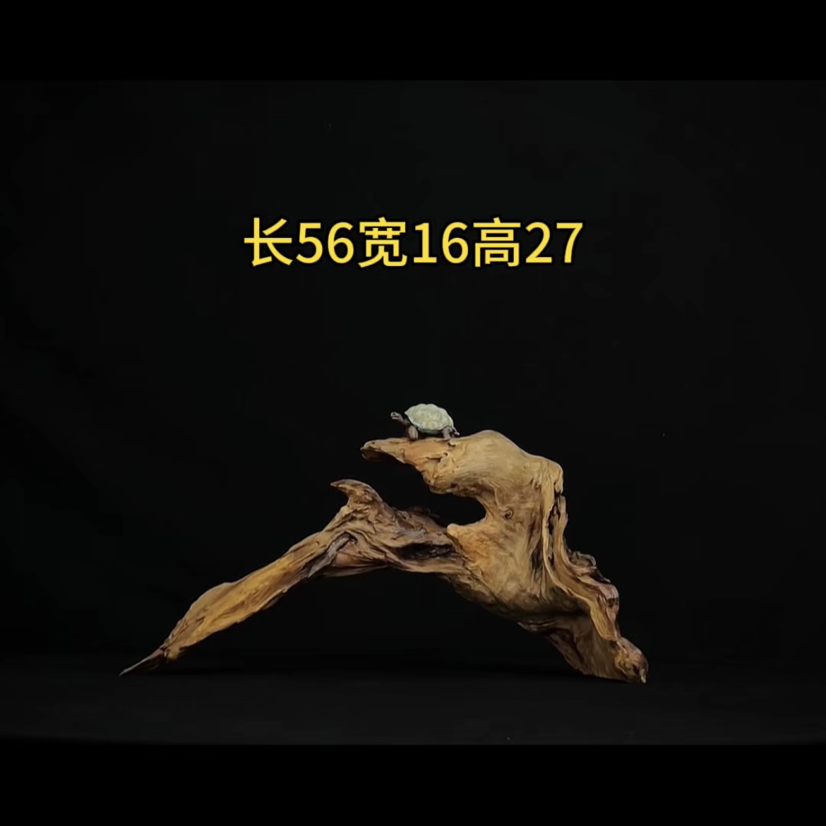 张大狼造景沉木长56cm拱桥飘枝 乌龟鱼缸造景 紫柚木秒沉