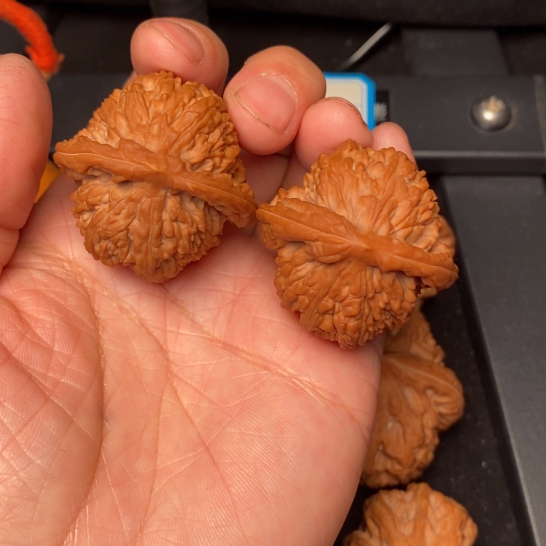 文玩核桃吊坠蚂蚁沟37