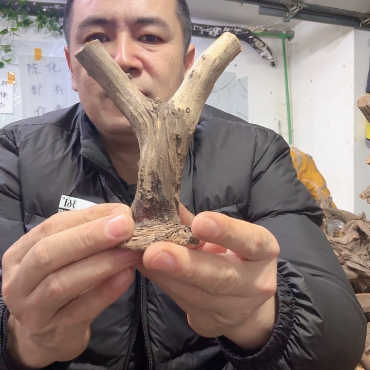 崖柏弓叉原叉随行弓