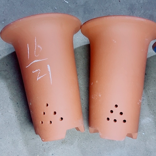 红陶紫砂吃紫砂紫砂