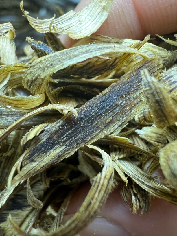 沉香勾丝纯天然原木料可用于熏香体验款