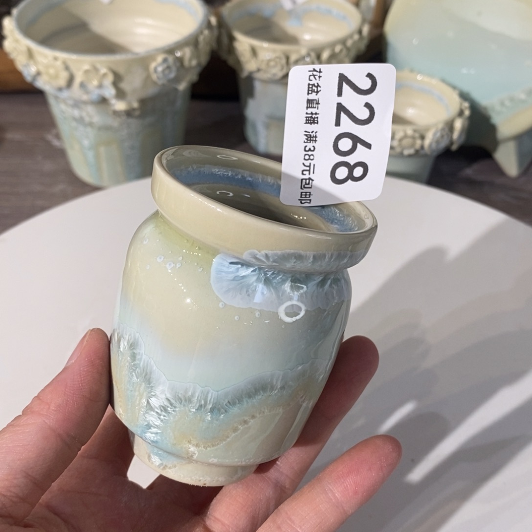 花盆冰种开窑上新