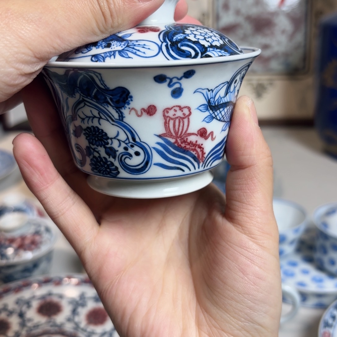 青花鱼藻 一路莲科 