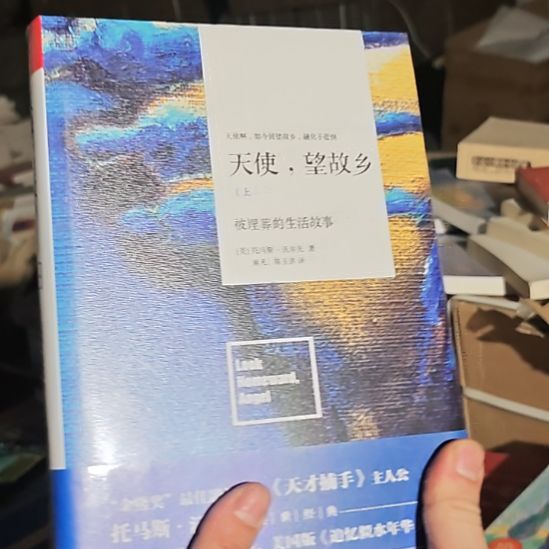 天使望故乡精装塑封全新就一套啊。