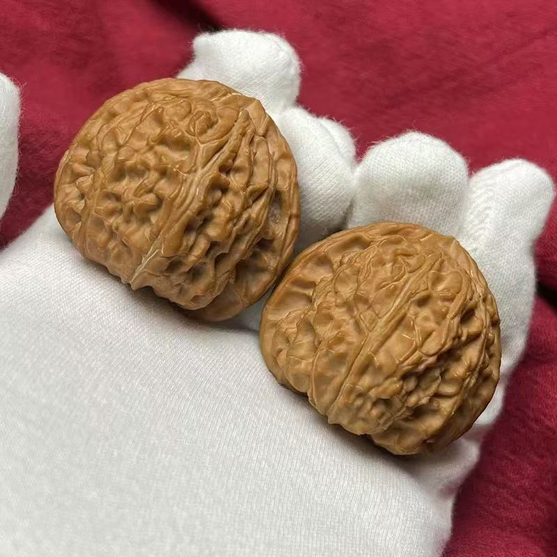 【甄选毕业级】三角白狮子头全品40左右