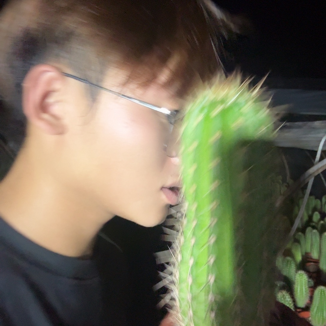 楠***万无花朵牛牛哈哈哈哈哈哈