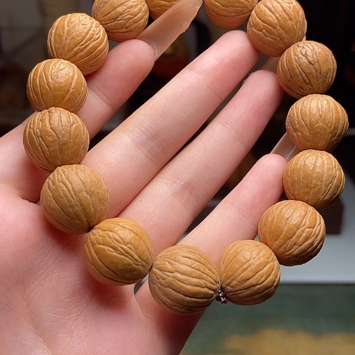 橄榄核手串/手链gvggvvgvggggvvbb
