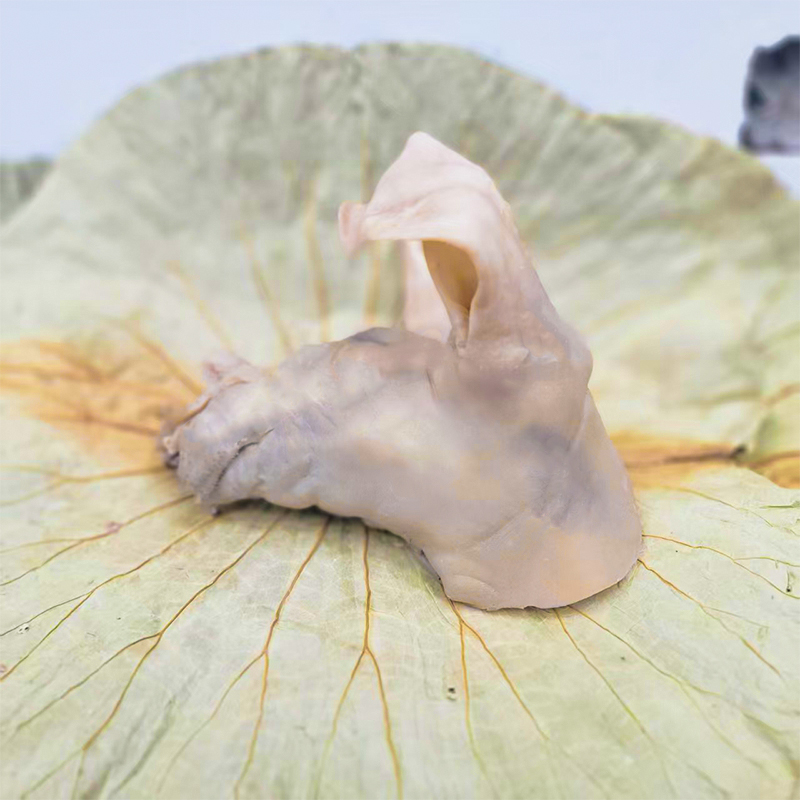 当天新鲜现煮-千祥白切羊肉（羊头-无骨）-直播间现称