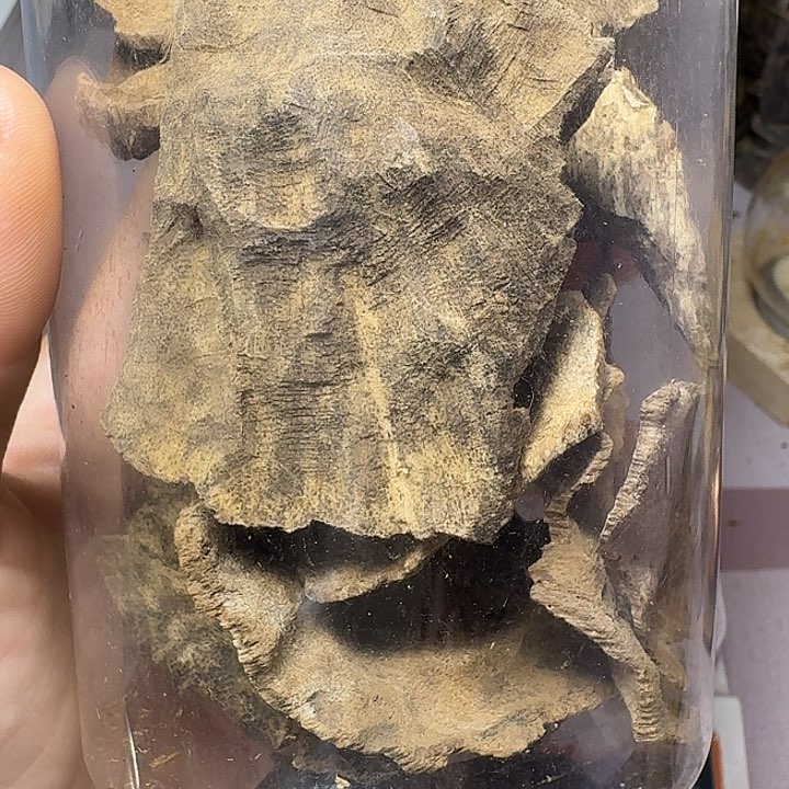 香榧木算***吧沉香国香