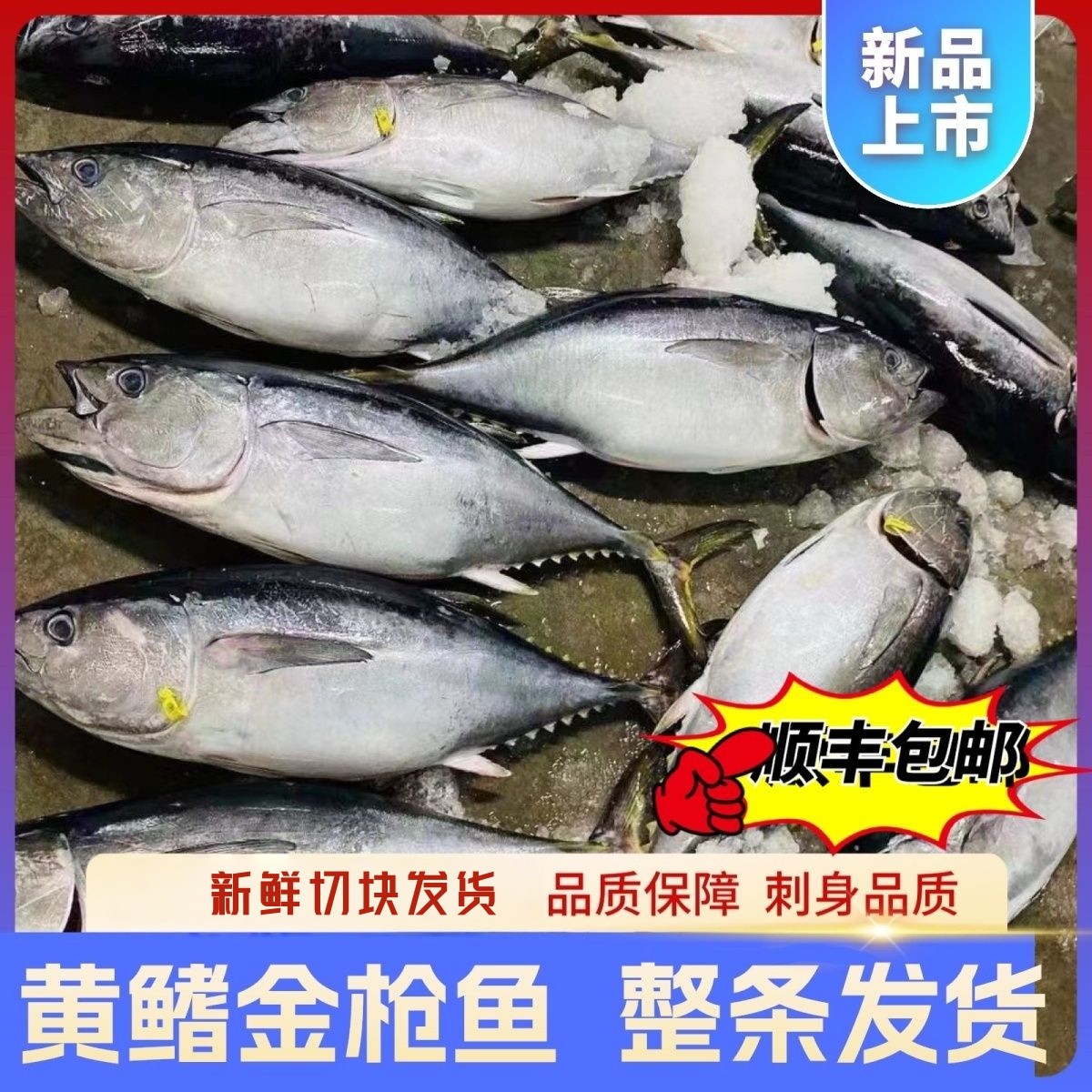 精品深海金枪鱼新鲜刺身无骨寿司料理生鱼片整条黄鳍金枪鱼三文鱼