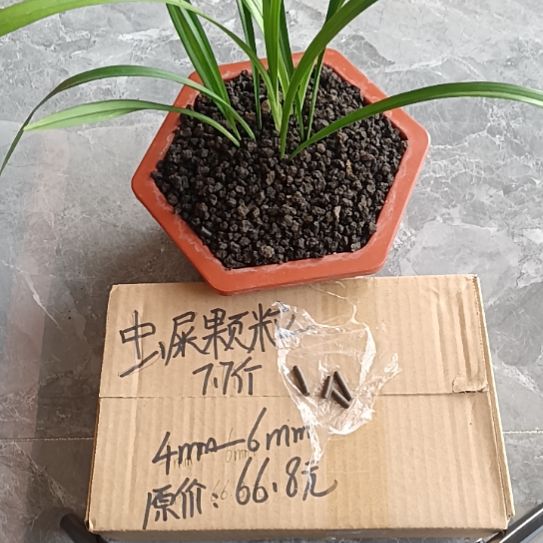 罗***粉兰菌黑山虫屎颗粒7.7斤