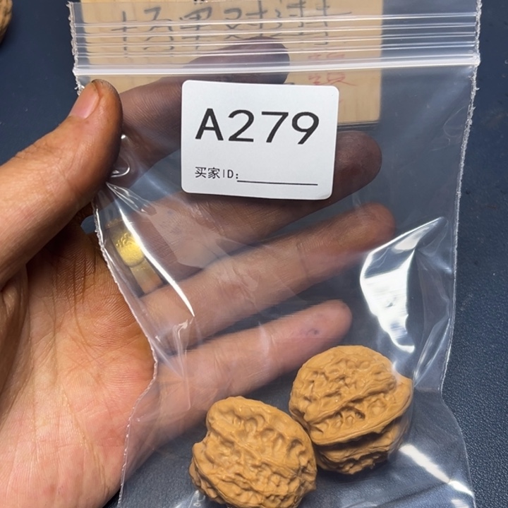 哈哈哈哈我的小可爱