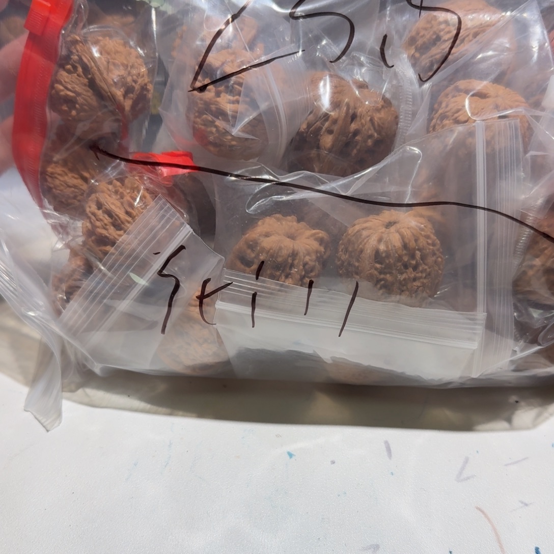 s****吊坠文玩核桃15不退不换