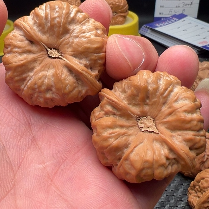 Z***B文玩核桃文玩核桃