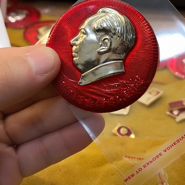 东***风一一一一一高贵轻扬一