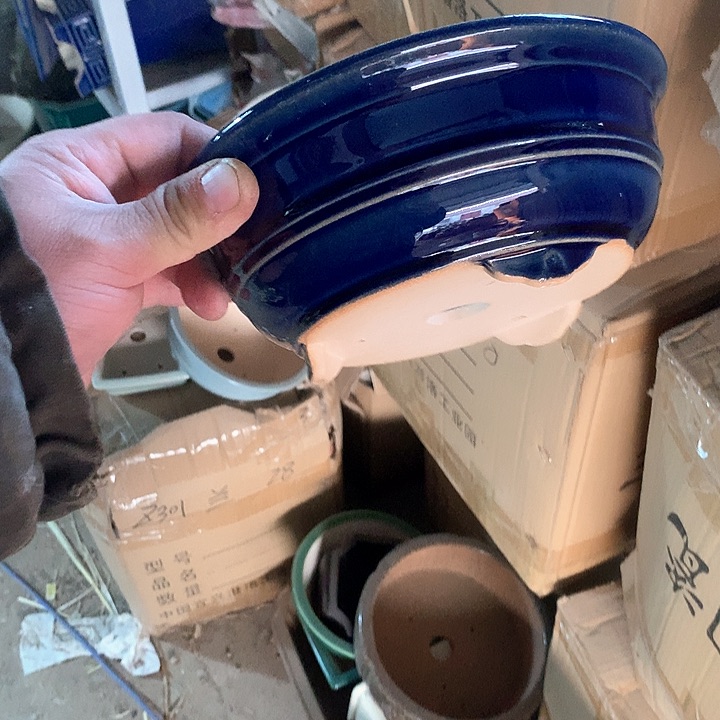 紫砂优秀青年科技学院教授一