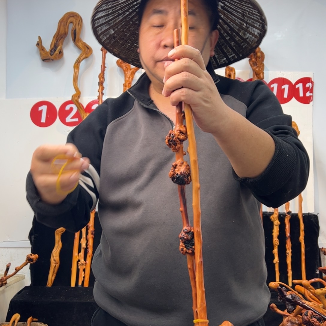 其他黑果木黑果木201