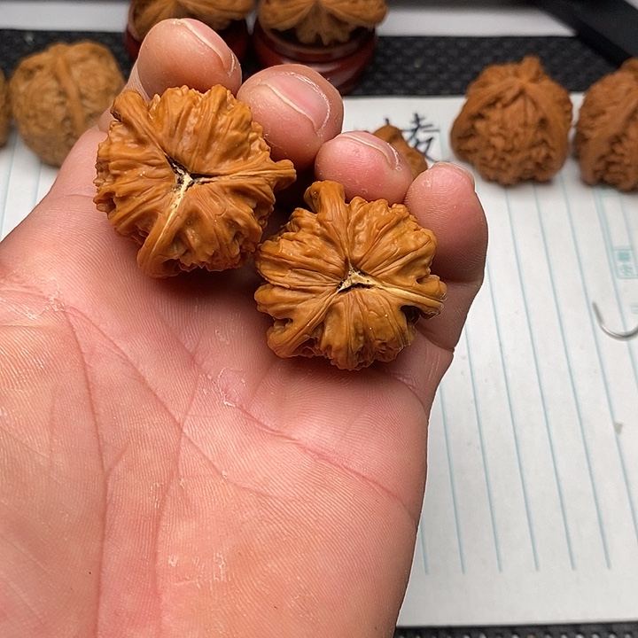 D***！手串/手链核桃白狮子4