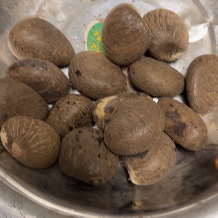 千眼菩提吊坠象牙果15个