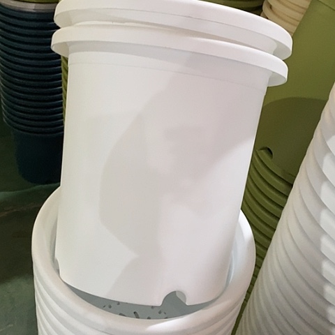 树脂四季7号5个无托白