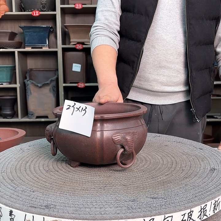 紫砂花盆紫砂的花也太漂亮