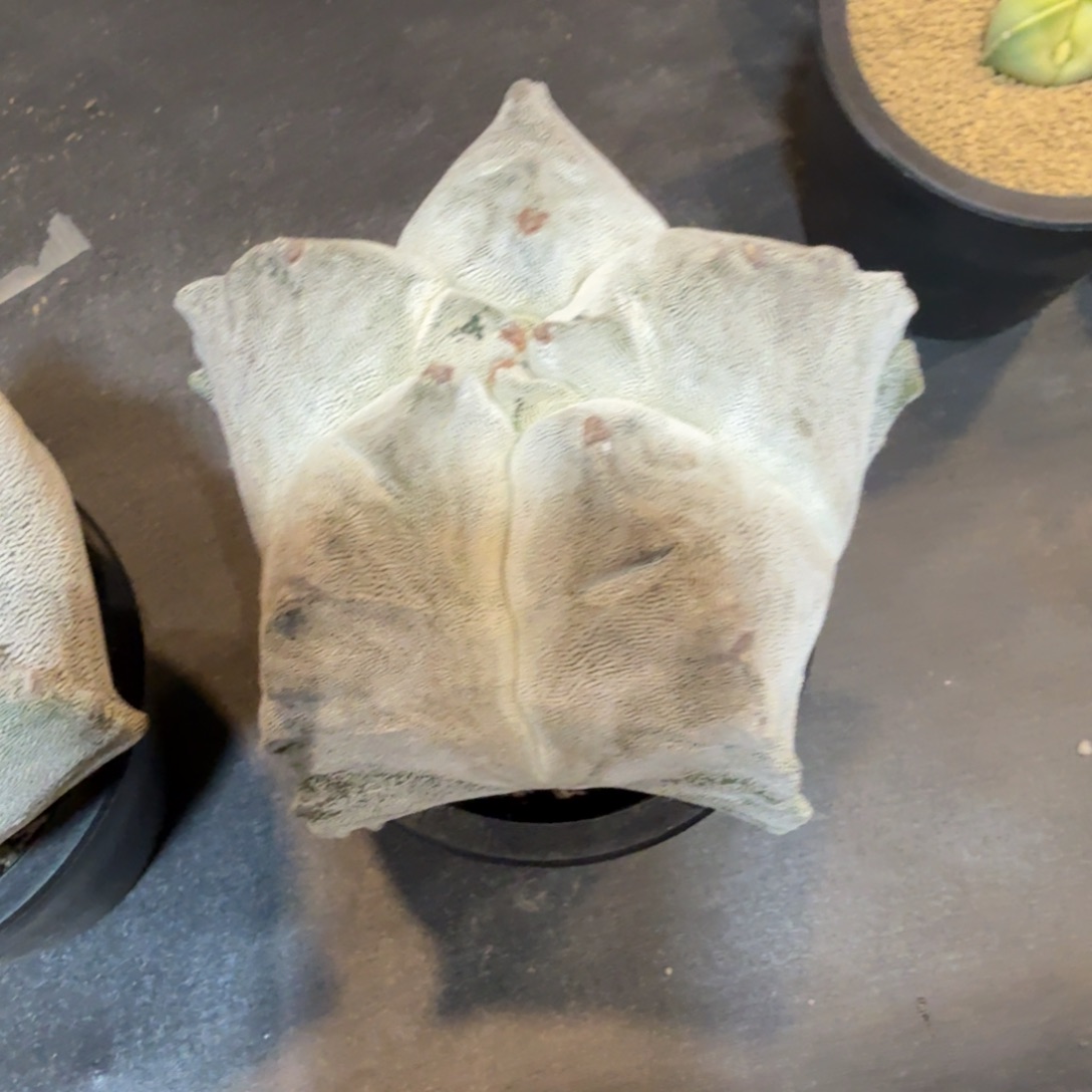 用***9哈哈哈哈哈哈哈哈哈