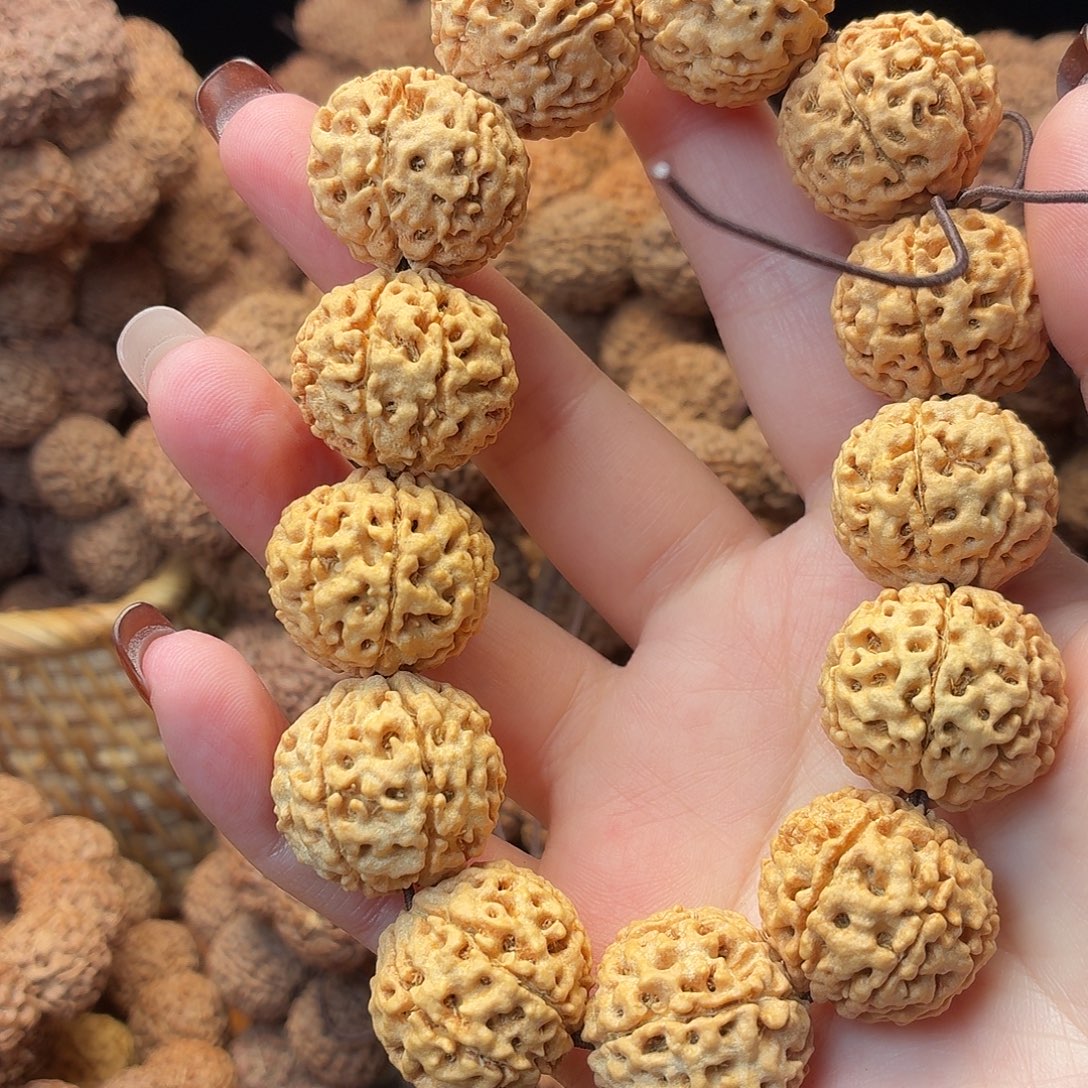 手串金刚菩提七瓣  22 姜黄皮  21号