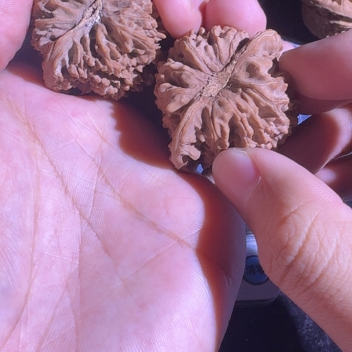 文玩核桃吊坠43尺寸的满天星