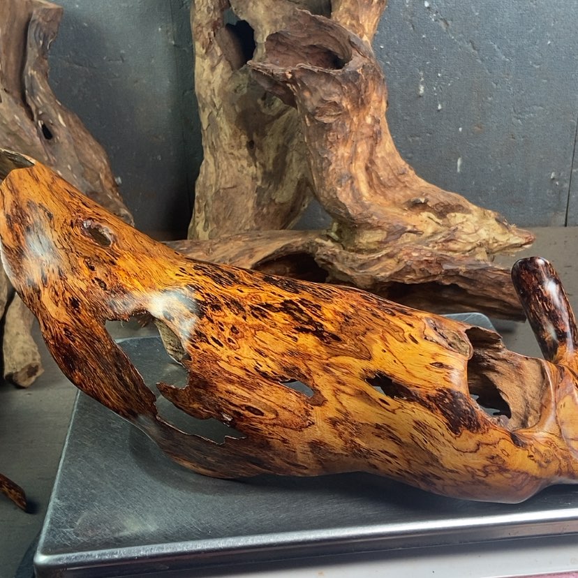 【闪购商品】黄花梨/降香黄檀华****荐