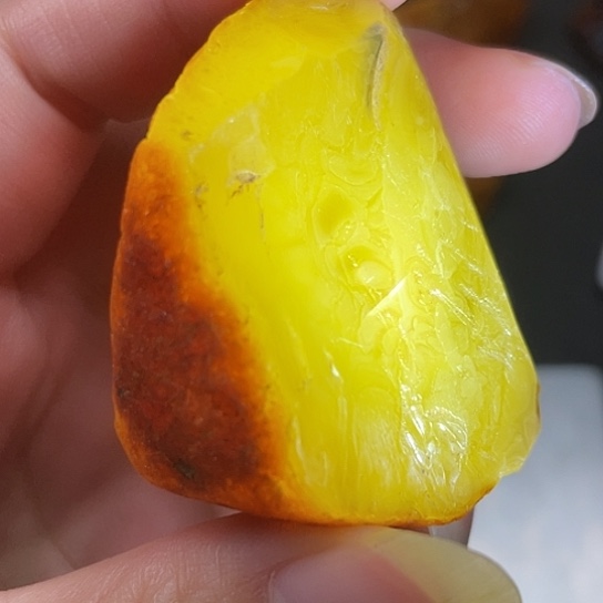 定制琥珀鸡油黄乌克兰焦皮