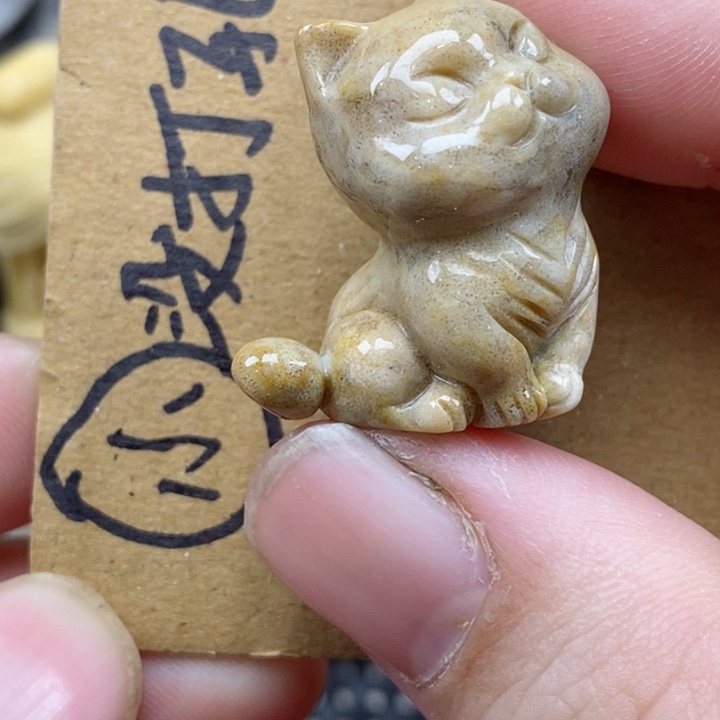 颈饰未镶嵌硅化珊瑚（珊瑚玉）