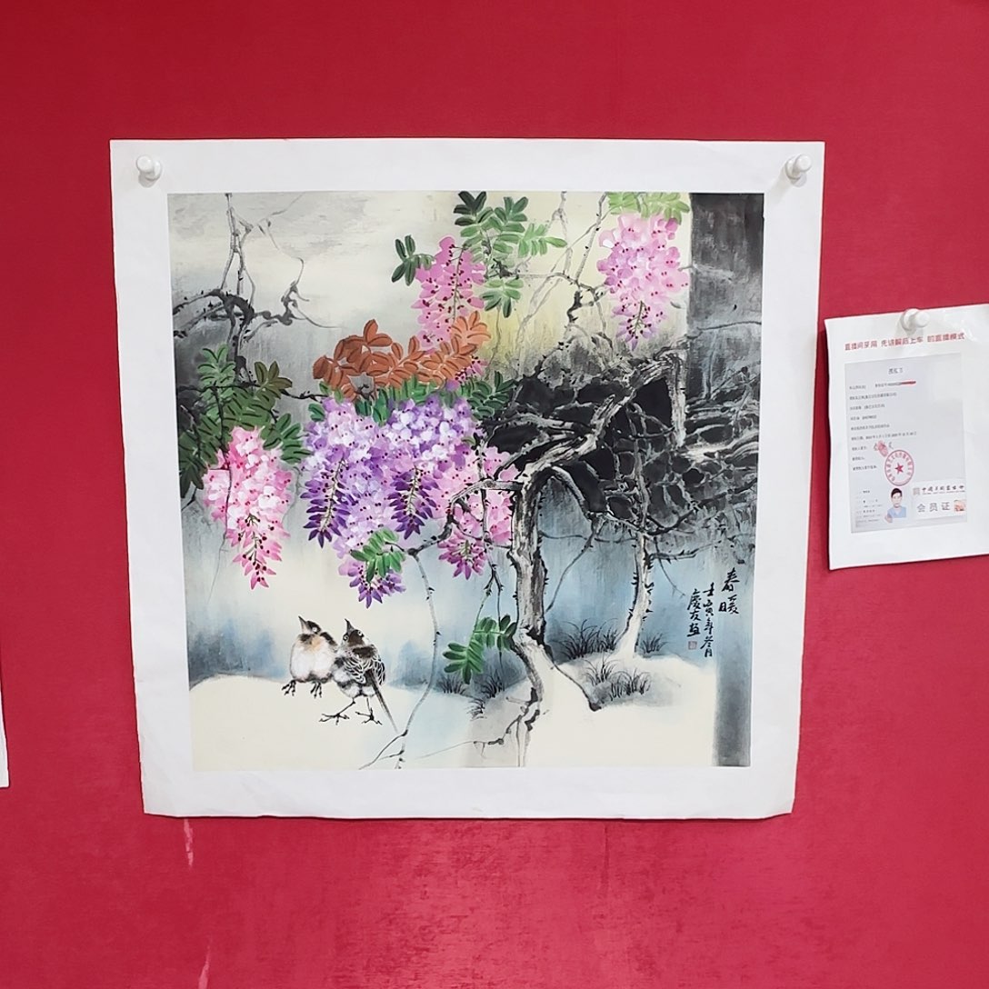 国画红皮书指出在这