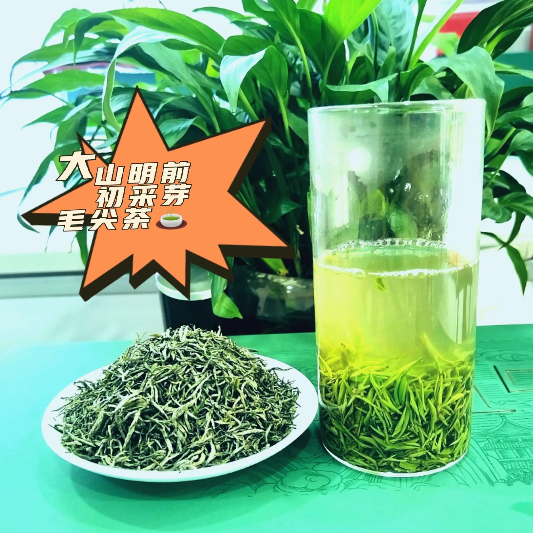 【明前初采毛尖】信阳正宗毛尖茶初采香气浓郁回甘生津大山毛尖茶叶