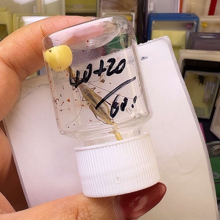 確***齋哈哈哈哈哈哈哈哈哈哈