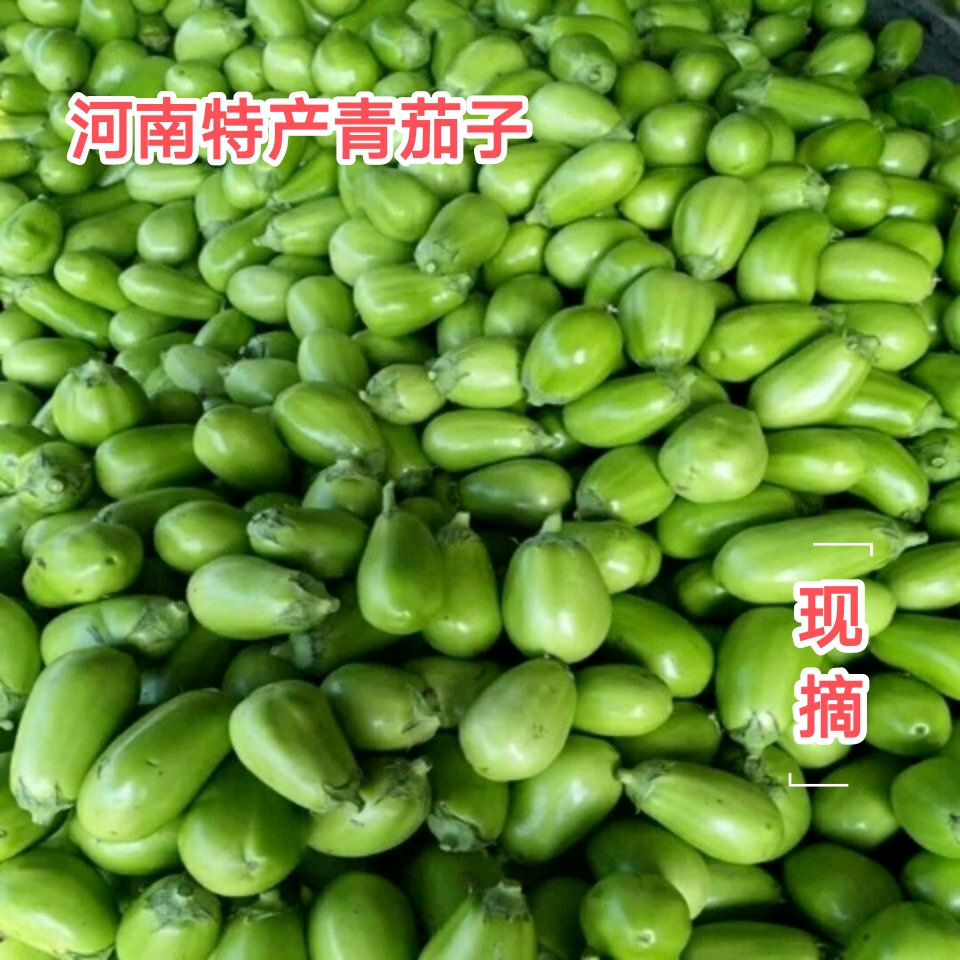 河南特产新鲜青茄子现摘时令蔬菜农家绿茄子鲜嫩3斤装5斤装