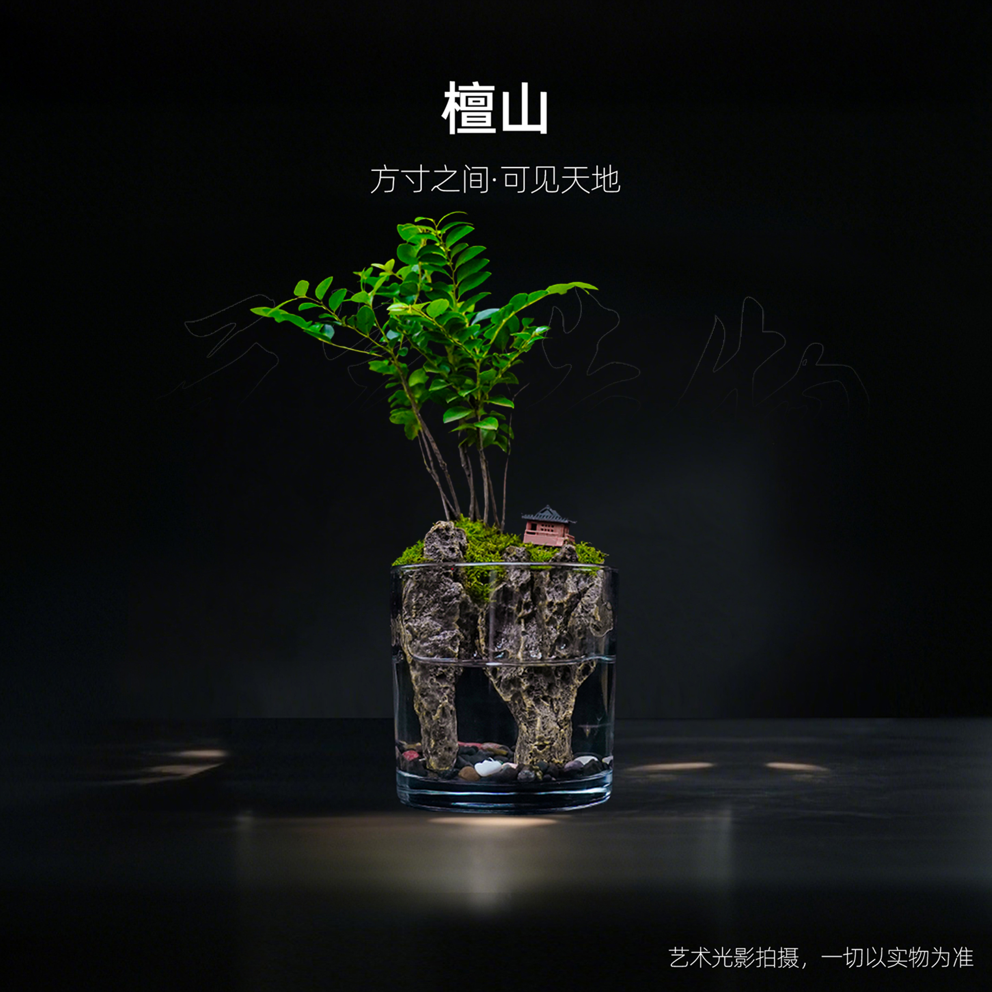 【十怡】檀山—精选小叶紫檀成品整套成品真植物【尺寸：10*10】
