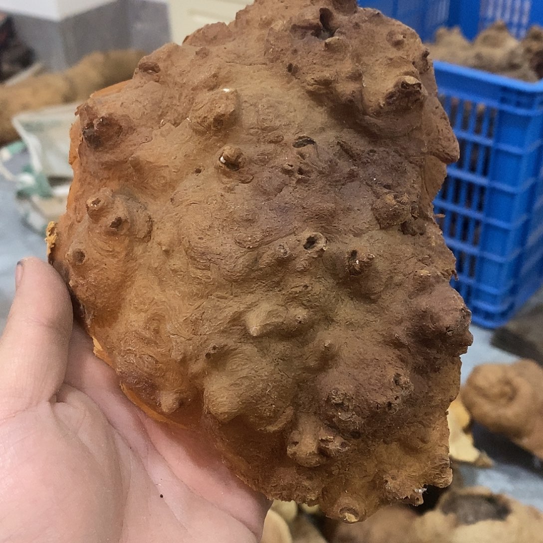 新***业荔枝木荔枝木原料