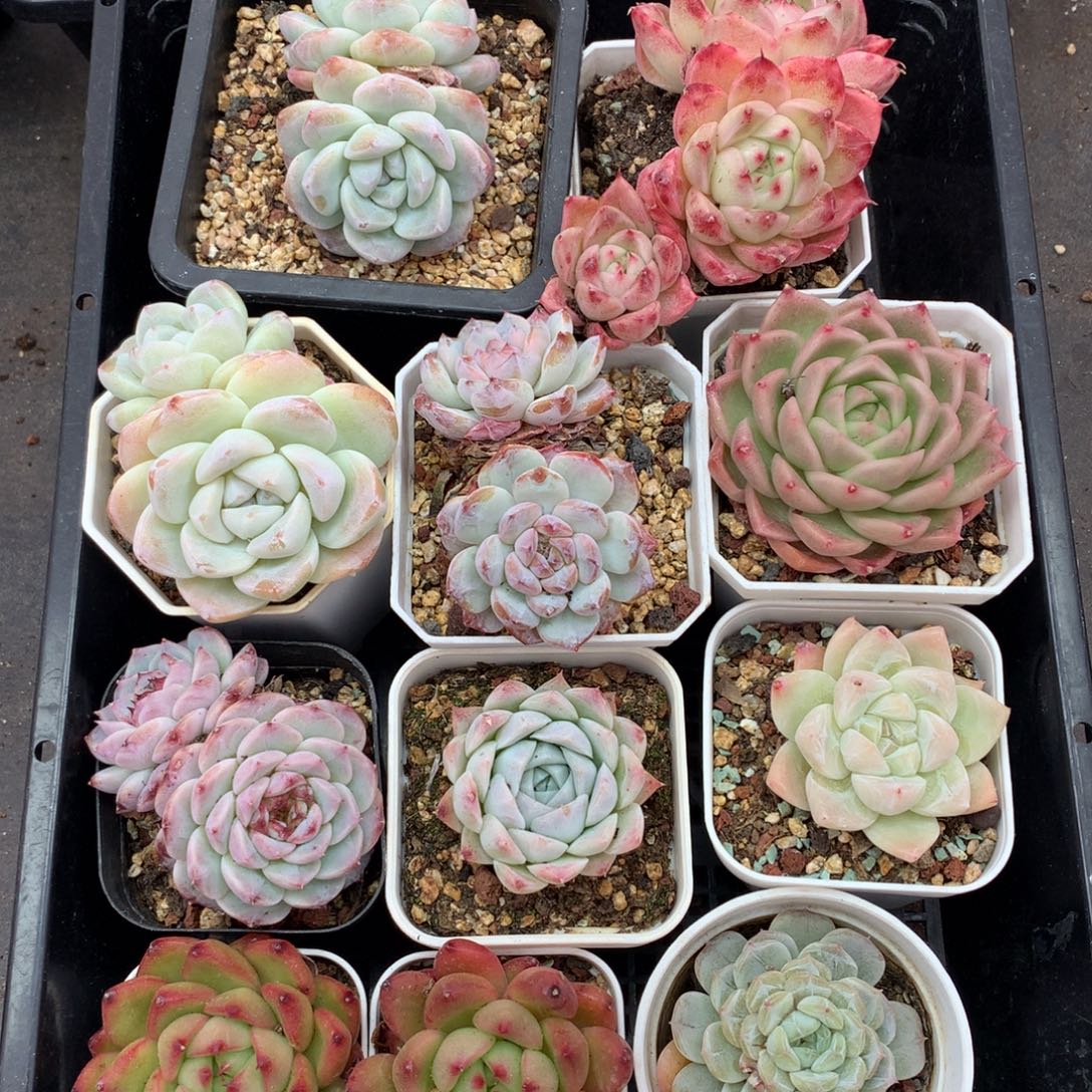 1211-14 套餐一组