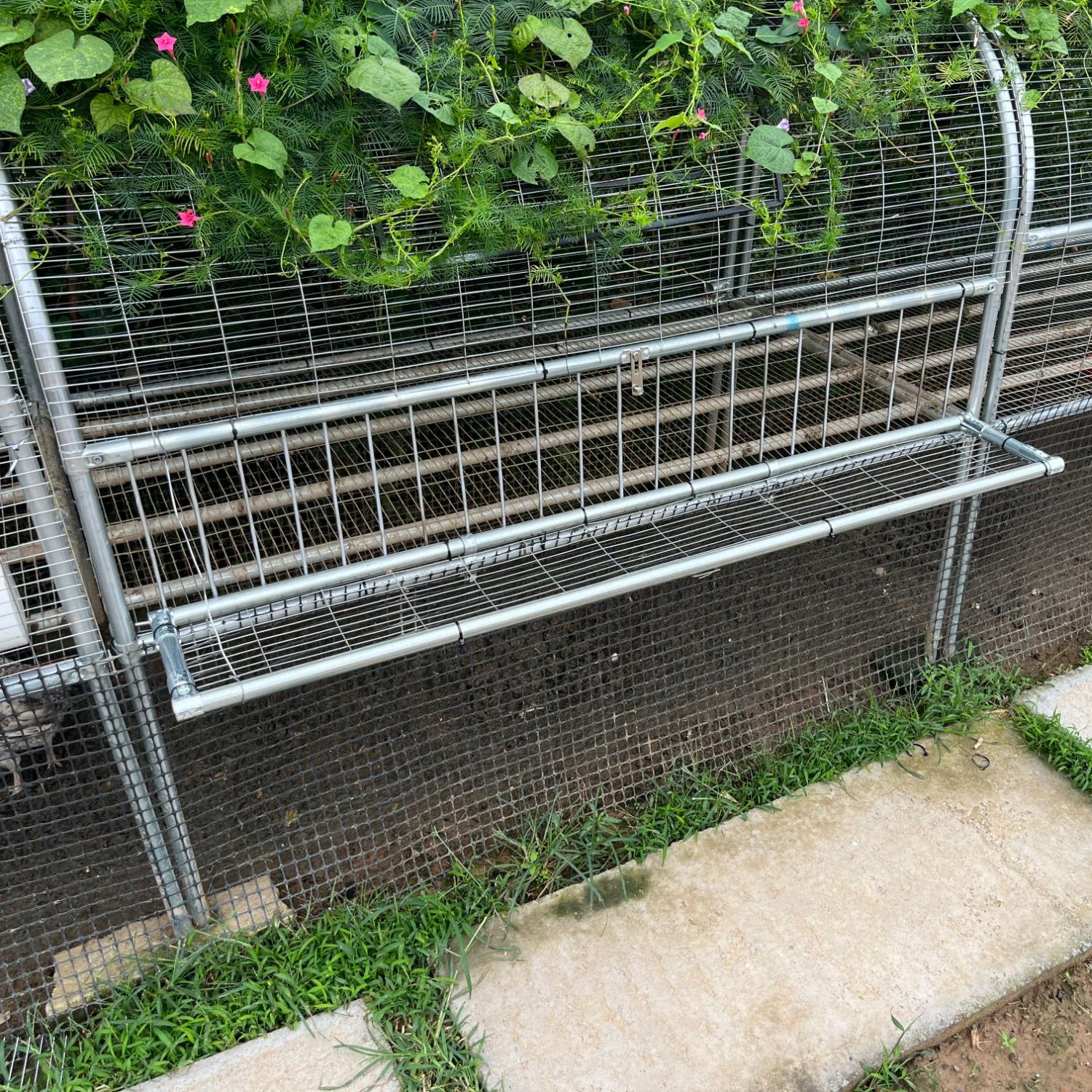 家禽养殖适用跑道鸡别墅可伸头吃食方便实用