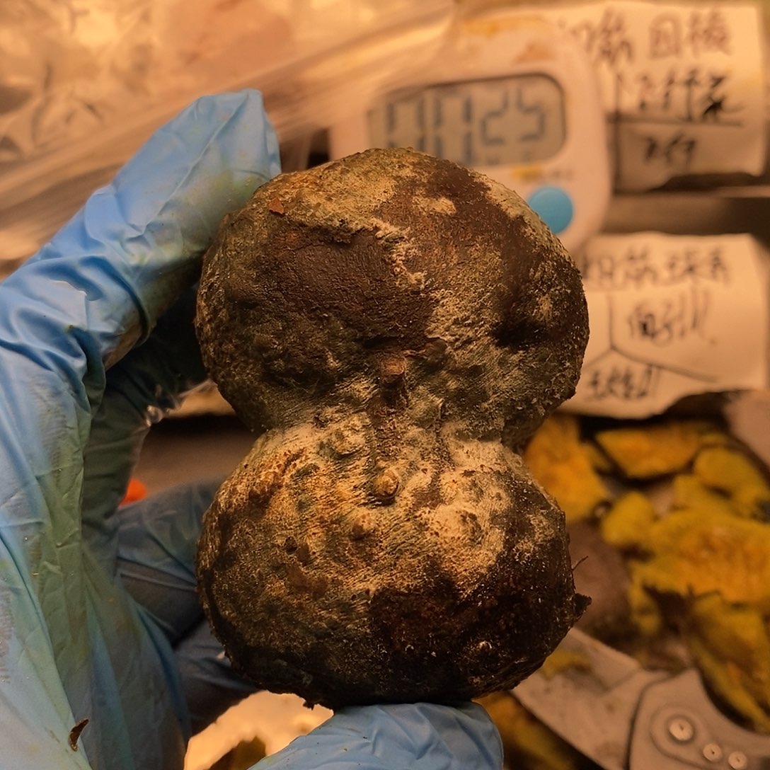 ****刚回家就结婚吧你不会后悔