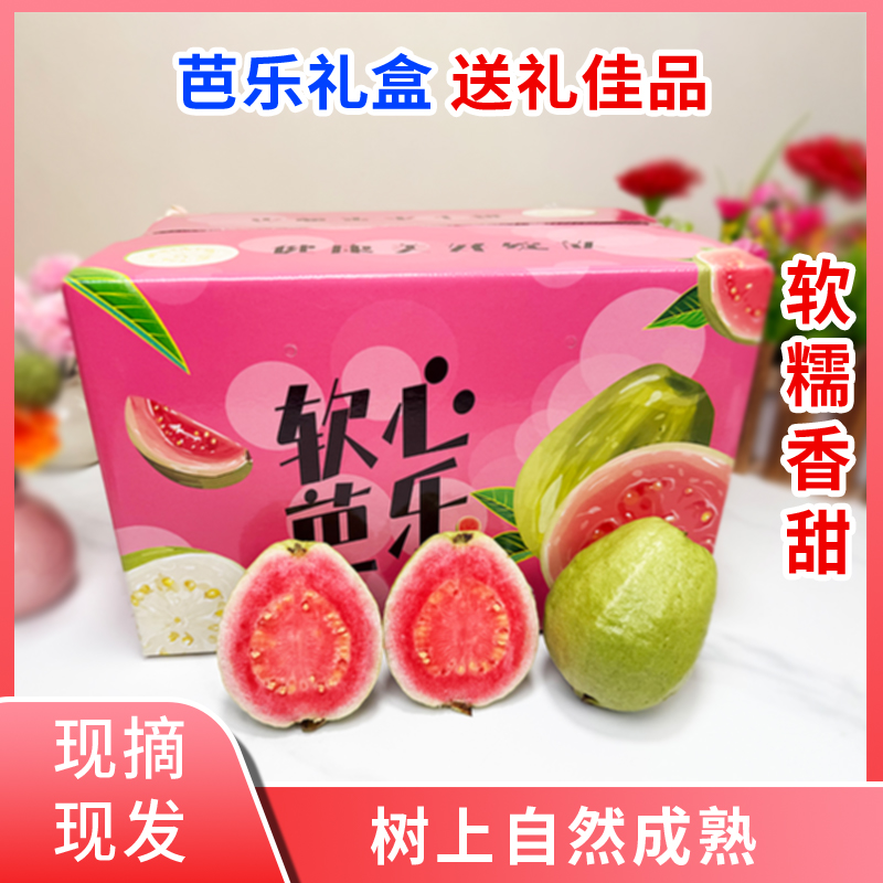 精品芭乐礼盒广西红心芭乐大果番石榴软糯香甜低糖水果礼盒年货