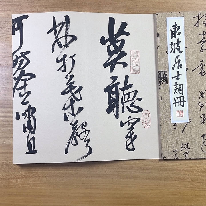 书法中书协会员作品