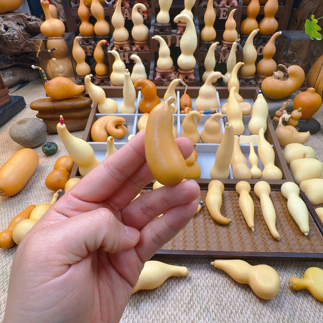 葫芦钱***?葫芦葫芦