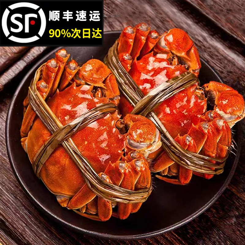 2.5两！8/10只全母黄多大闸蟹！活蟹发货顺丰空运，收到还是鲜活的！