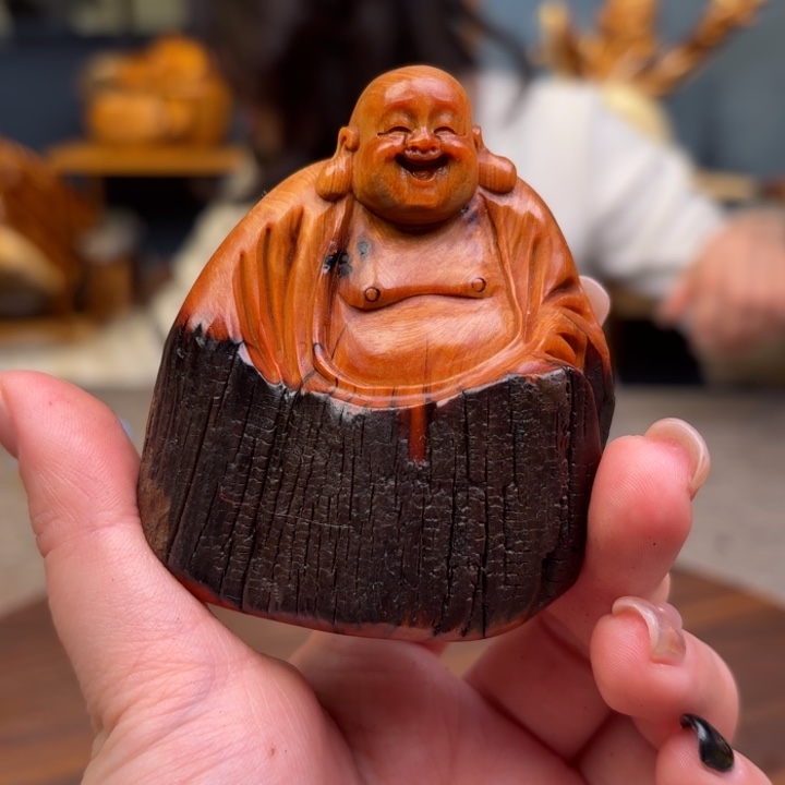 柏木（崖柏）关注一下